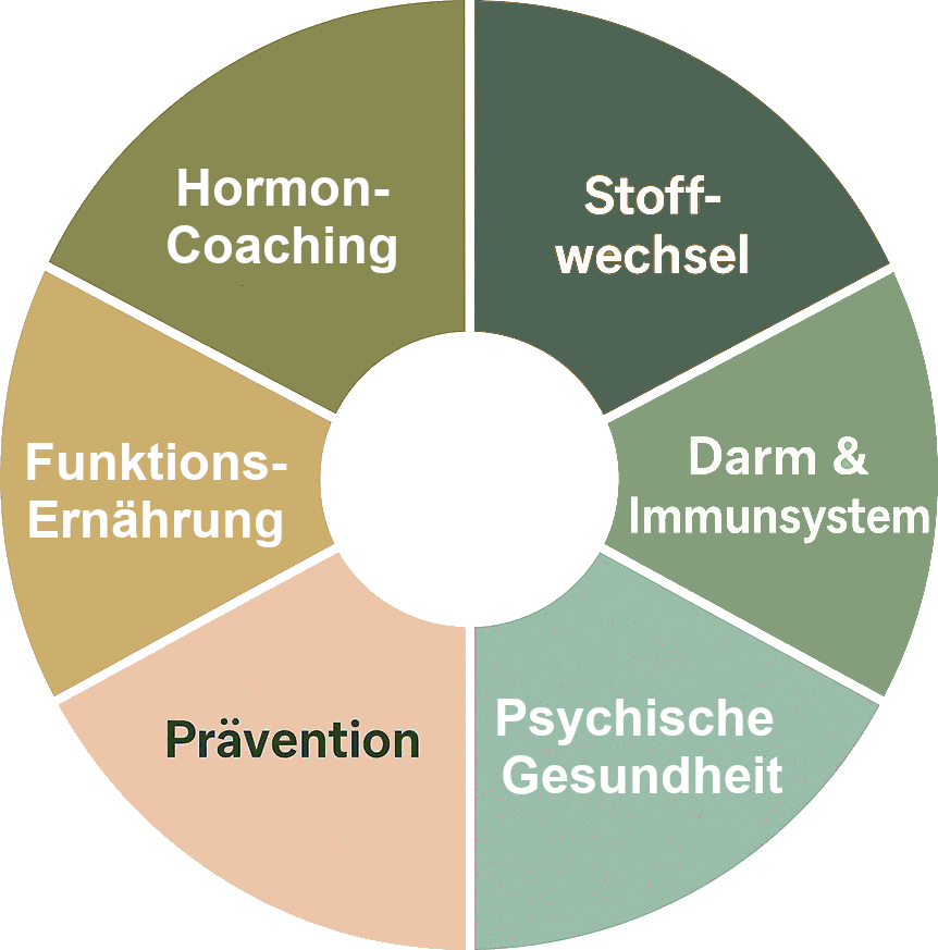 Gesundheitsrad Hormonsystem, Stoffwechsle, Darm, Psyche, Prävention, Ernährung